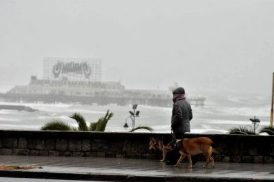Hay 44 nuevos contagiados de coronavirus en Mar del Plata