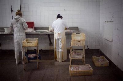 Precarizaci�n laboral en el puerto: un virus para el que no hay vacuna