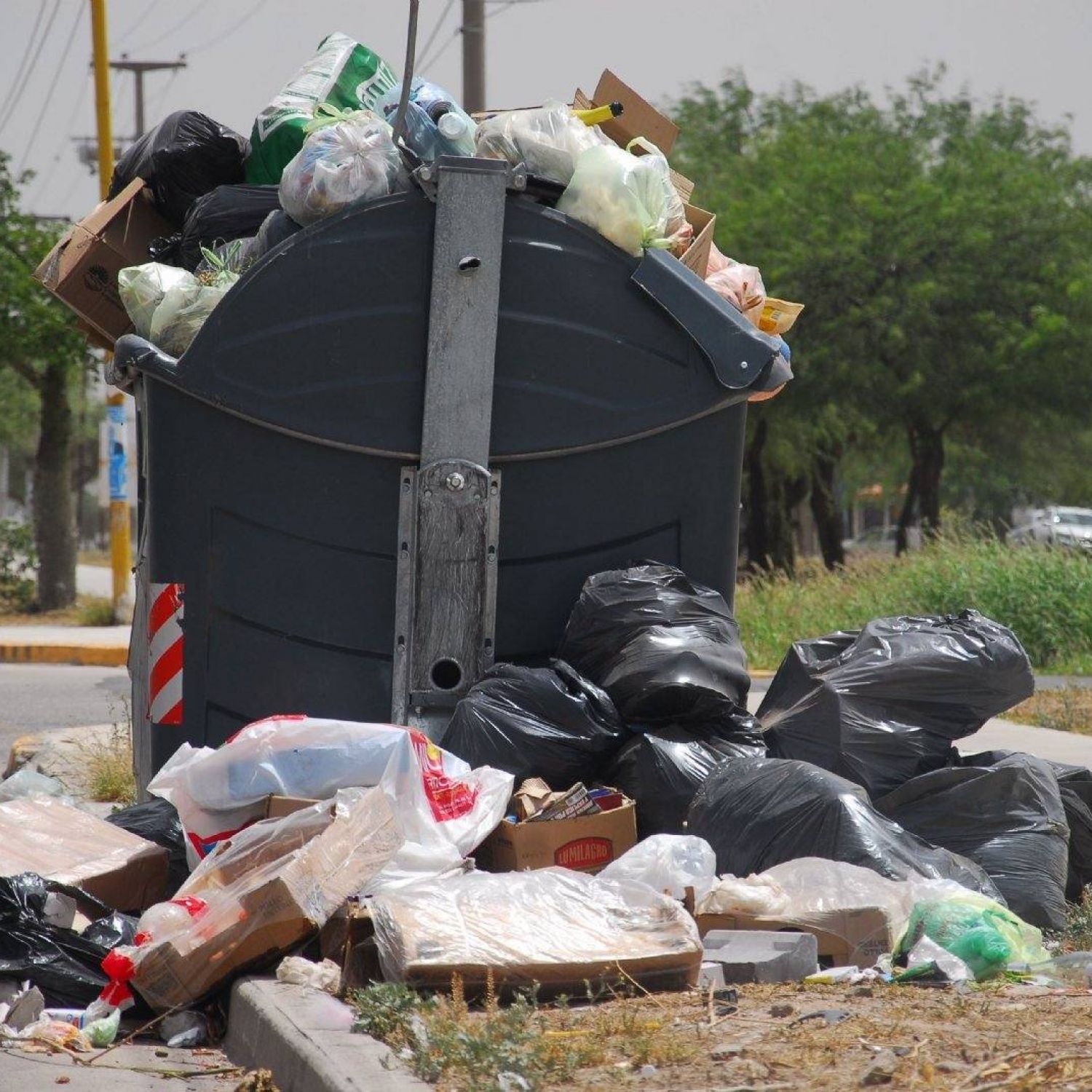 Se generan 45 mil kilos de basura por día en la Ciudad