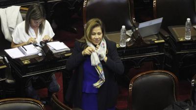 Con ayuda de Cama�o, el oficialismo aprob� la revisi�n del traslado de jueces de Macri