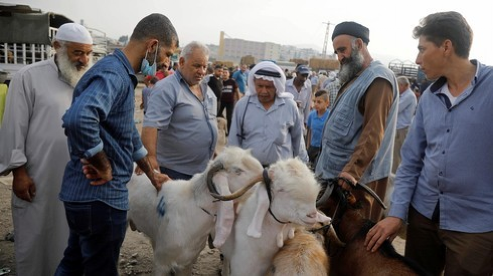 Musulmanes celebran la Fiesta del Sacrificio, oscurecida por el Covid