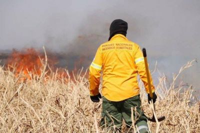 Dura respuesta de ruralistas a Cabandi� por los incendios forestales: �No tiene ninguna formaci�n t�cnica, profesional o pol�tica para la cartera que maneja
