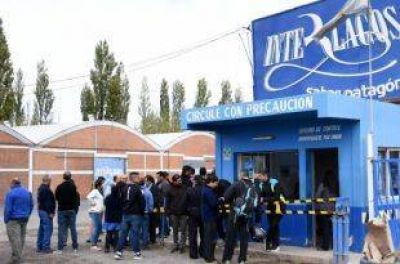 Expectativa laboral en Embotelladora Comahue por llamado a licitaci�n