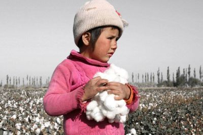 La OIT logró la ratificación universal del convenio sobre el trabajo infantil