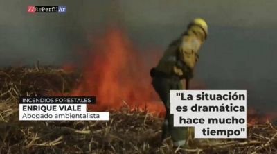 Humo en la provincia por la quema de pastizales del Delta de Paran�