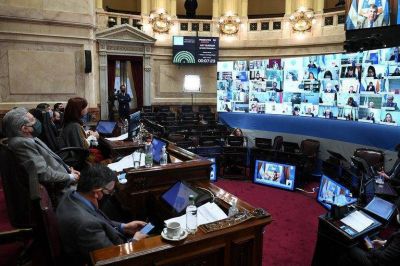 Dur�sima cr�tica de Mario Pergolini a los legisladores que votaron la ley de teletrabajo: �Son un grupo de imb�ciles�
