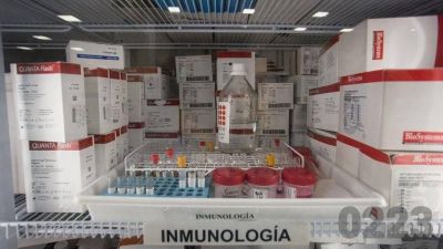 Murieron tres hombres con coronavirus y Mar del Plata super� los 500 infectados activos