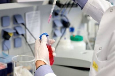 La hidroxicloroquina tampoco prevendr�a el coronavirus