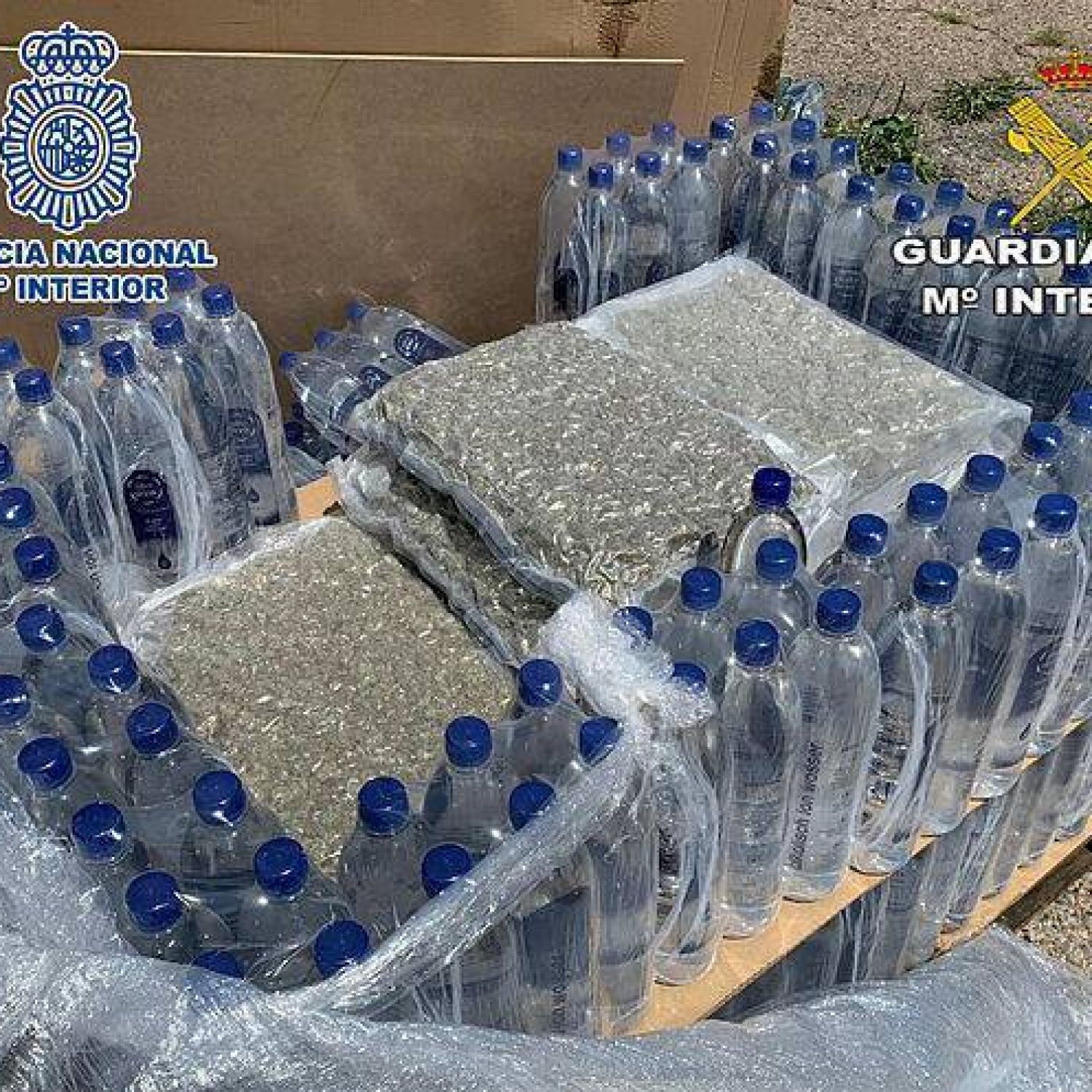 Detenidos Por Usar Su Falsa Planta Embotelladora De Agua Para Traficar Con Marihuana