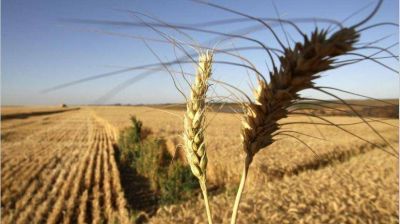 Alerta sequ�a: el clima ya resta d�lares para la econom�a de la pospandemia