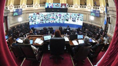 El kirchnerismo fuerza la aprobaci�n de la reforma judicial en el Senado y avanza contra dos camaristas que incomodan a Cristina Kirchner