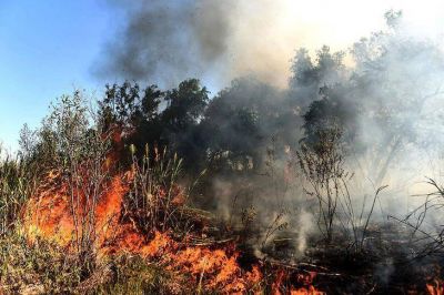 Incendios en el Delta: primeras se�ales desde la Corte Suprema
