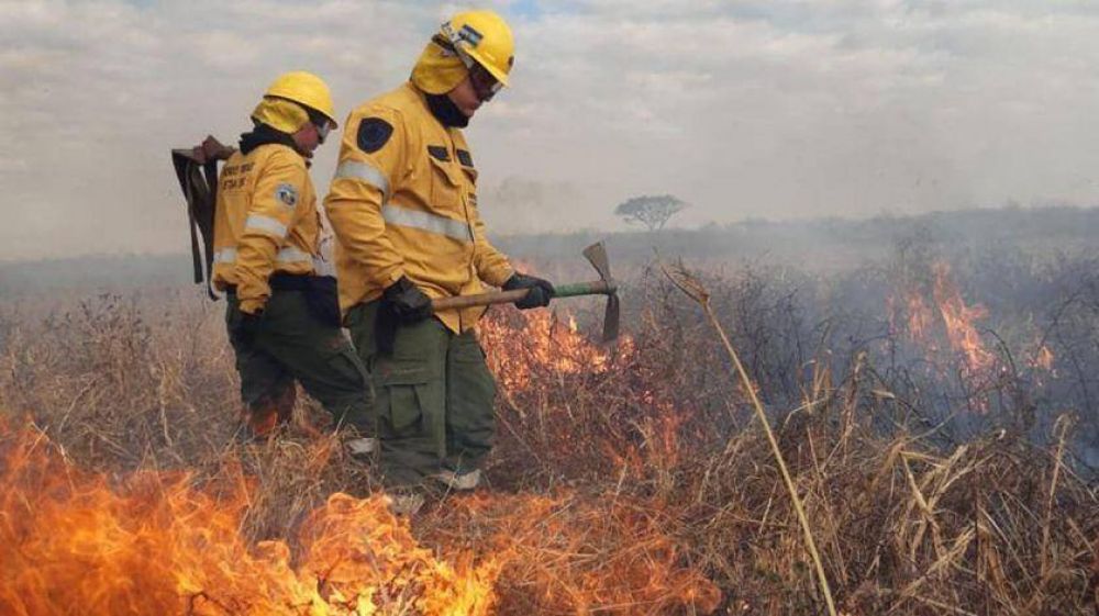Fuego en el Delta del Paraná y humo en Buenos Aires: efectos de un desmonte que no cesa