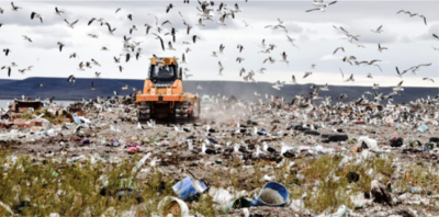 Basura: �Qu� se hace para resolverlo?