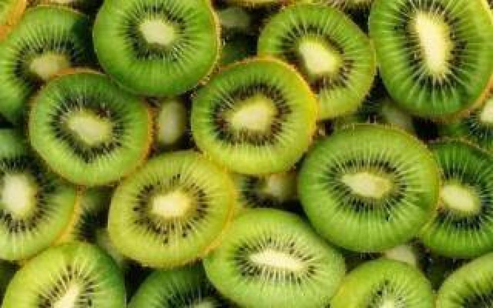 Alvarado, zona de baja prevalencia de mosca de los frutos: Destacan avance para comercializacin de kiwi