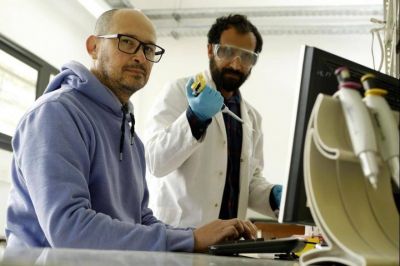 Cient�ficos de la UNLP determinaron por qu� el coronavirus evade las respuestas inmunes