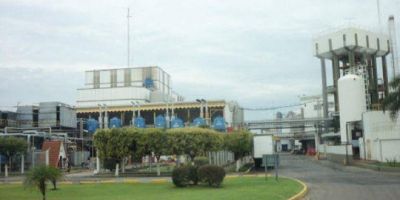 Covid-19: denuncian que en planta de La Seren�sima la mitad de los trabajadores est� infectado y no se aplican protocolos