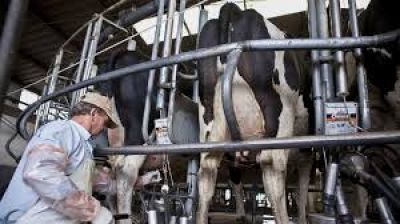 Hubo acuerdo salarial entre ATILRA y cámaras del sector lácteo