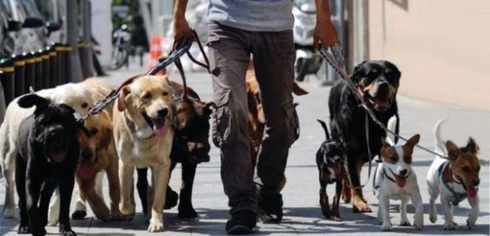 El Sindicato de Trabajadores Caninos reclam la reapertura de los caniles en las plazas