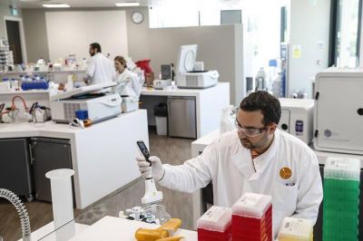 Seis vacunas en Fase III y tres estrategias cient�ficas para doblegar al virus