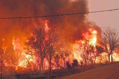 Fuerte advertencia de la ONG Nuevo Ambiente: “Tenemos un país que se está incendiando”