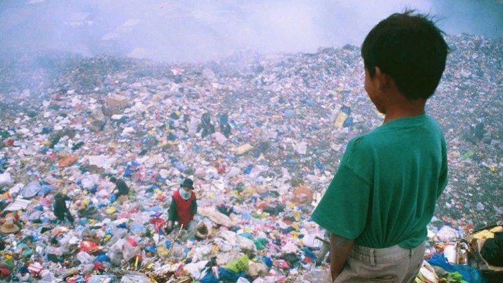 Francisco: curando el coraz�n humano se puede esperar curar al mundo