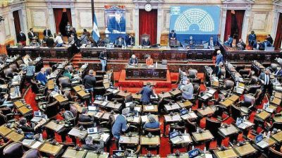 En Diputados sostienen que el protocolo de sesiones virtuales 