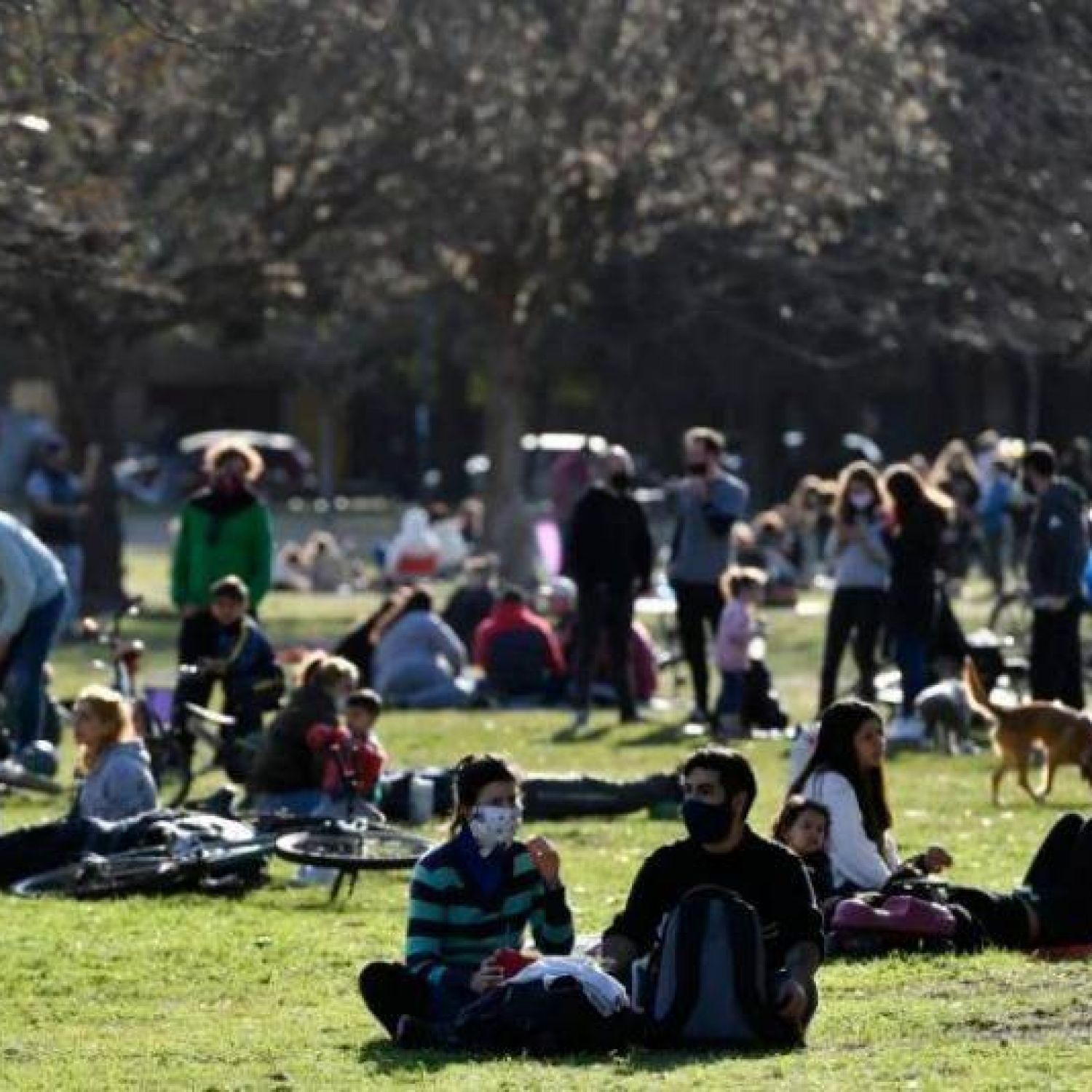La Provincia habilita reuniones de hasta 10 personas al aire libre para ...