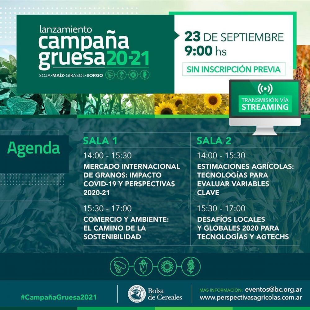 La Bolsa de Cereales realizar el lanzamiento de la Campaa Gruesa 2020/21
