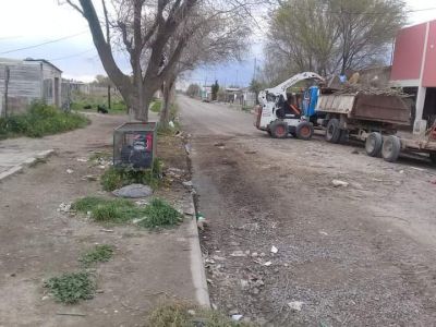Comienza en Viedma el operativo de recolecci�n de residuos voluminosos