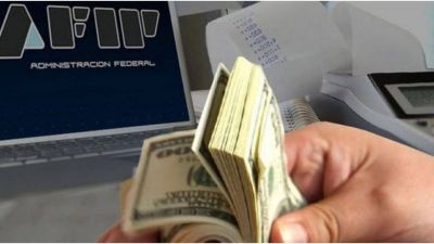 El impuesto a la riqueza lo pagar�n menos de 10 mil personas, seg�n la Afip