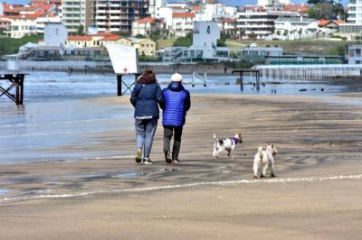 Hay 217 nuevos contagiados de coronavirus en Mar del Plata