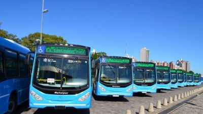 Otra vez los choferes est�n sin cobrar y la UTA vuelve al paro por tiempo indeterminado en Rosario