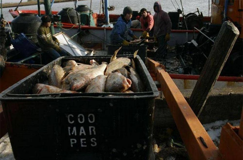 El mundo corvina apret el freno