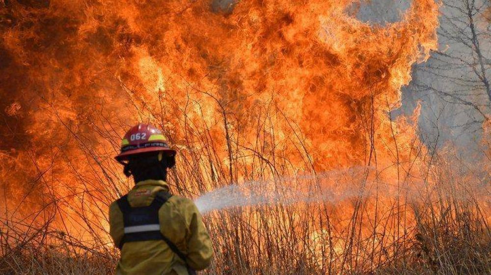 Por los incendios, declararon la emergencia agropecuaria en algunas zonas de Crdoba 