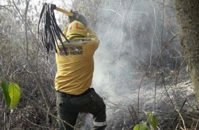 Advierten que el incendio en el cerro San Javier traer� consecuencias ambientales de grandes magnitudes