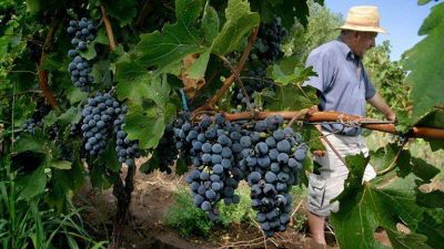 Crece el malestar y la incertidumbre en el campo: el 80% de los productores cree que la gesti�n del Gobierno es mala y m�s del 60% que el a�o que viene ser� peor