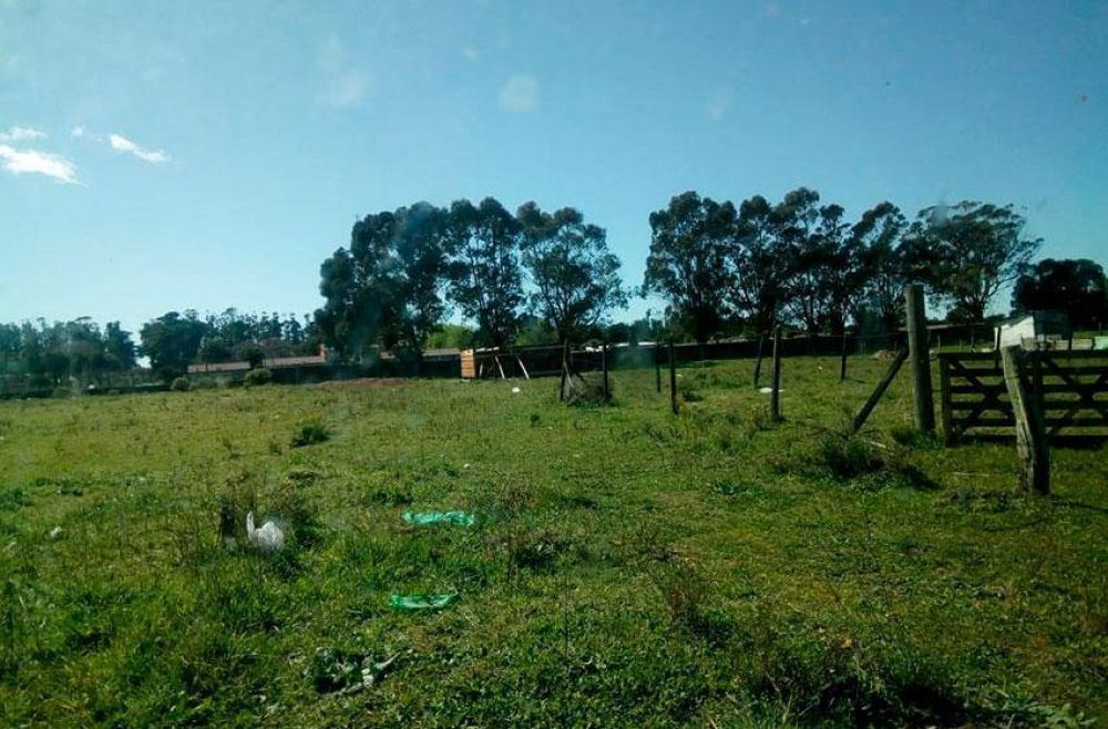 Denuncian aumento del delito y usurpaciones de terrenos en barrios de la zona norte de Mar del Plata