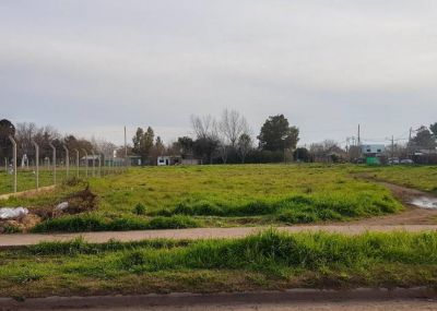 Berazategui ceder� terrenos para la construcci�n de instituciones educativas
