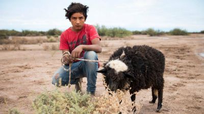 A un a�o del reclamo huarpe, el agua y los caminos siguen sin llegar a las Lagunas de Guanacache