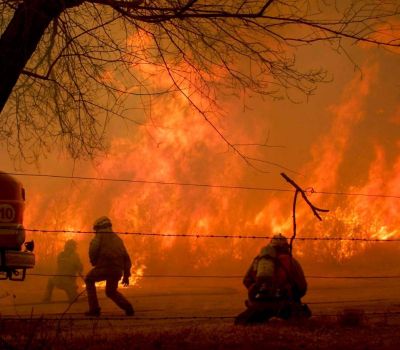 Fassi: �el proyecto de M�ximo Kirchner proteger� a los ecosistemas de los incendios intencionales�