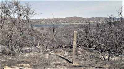 Carlos Paz prohibir� la urbanizaci�n de las tierras arrasadas por los incendios