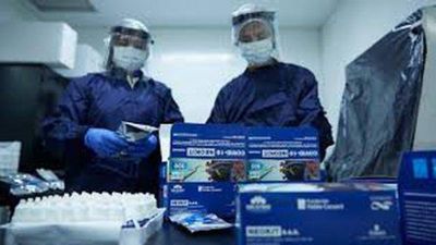 C�mo funciona NEOKIT PLUS, el flamante test para detectar COVID-19 en forma m�s r�pida y sencilla desarrollado por cient�ficos argentinos
