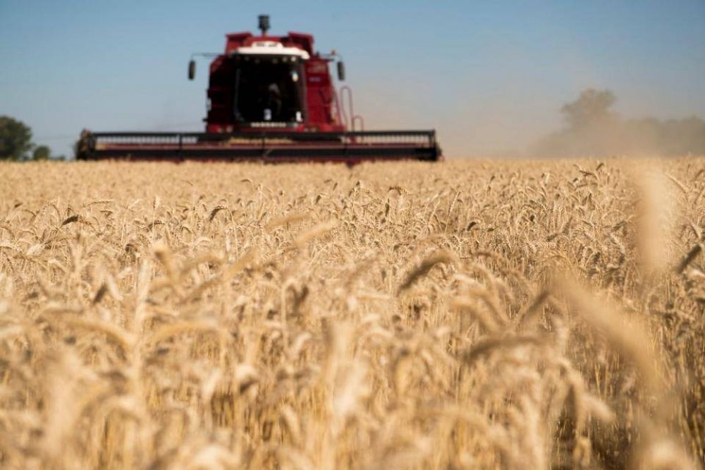 El PRO le prende fuego a la interna entre la Sociedad Rural y el Consejo Agroindustrial