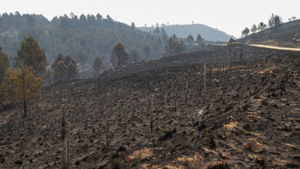 Los incendios en Crdoba estn contenidos: bomberos trabajan para evitar posibles reinicios