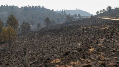 Los incendios en C�rdoba est�n contenidos: bomberos trabajan para evitar posibles reinicios