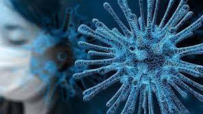 Col�n: 20 nuevos casos positivos de coronavirus