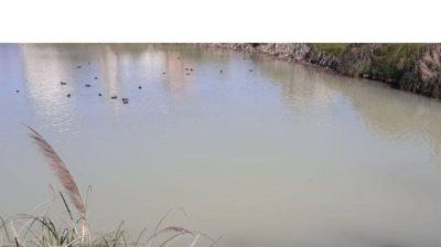 Denuncias por contaminación en Lagunas de Punta Mogotes