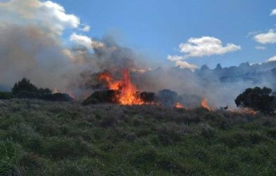 Lleg� el fuego a la Provincia de Buenos Aires y se encendieron las alarmas