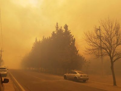 Ocho dotaciones de bomberos combatieron un incendio en Juana Koslay